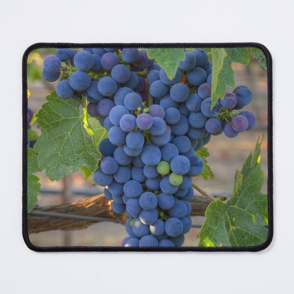 Item preview, Cabernet Sauvignon designed and sold by Cathy L. Gregg.