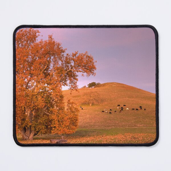 Item preview, Fall on Alisos Canyon designed and sold by Cathy L. Gregg.