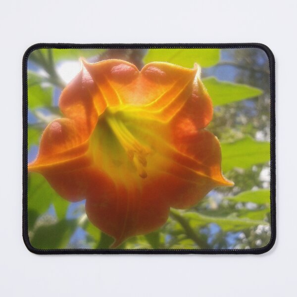 Item preview, Orange Tulip designed and sold by Morishasu / Morinetsu.