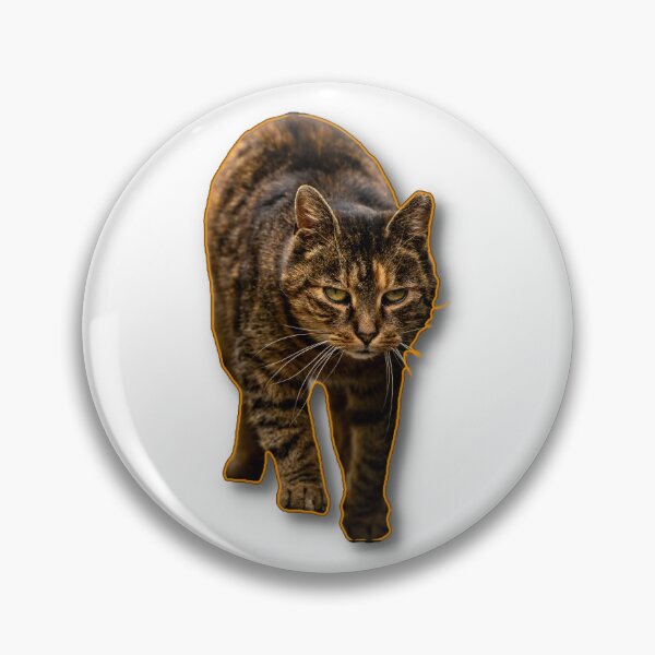 Item preview, A focused cat walking towards the viewer with an intent expression. designed and sold by Piotr Front.