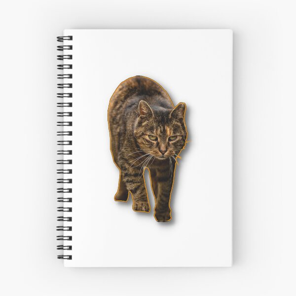 Item preview, A focused cat walking towards the viewer with an intent expression. designed and sold by Piotr Front.