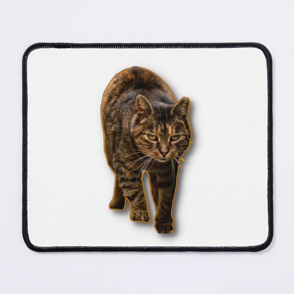 Item preview, A focused cat walking towards the viewer with an intent expression. designed and sold by Piotr Front.