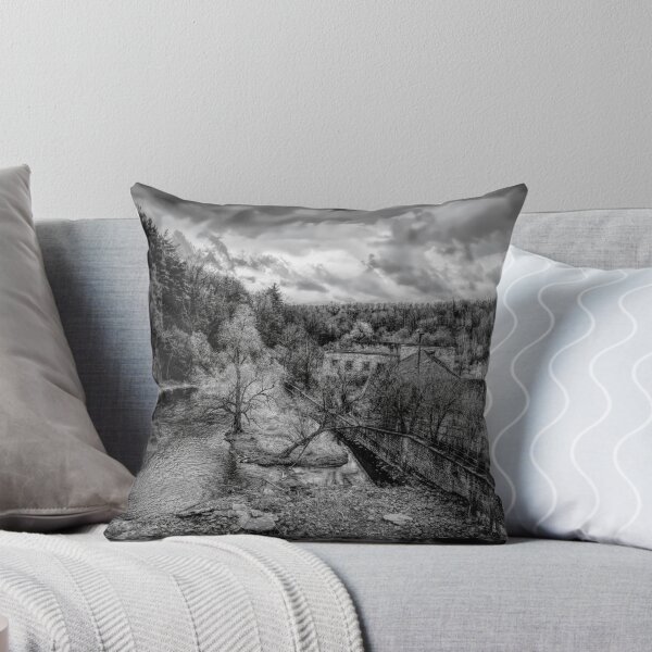 Item preview, Ruins of the Barber Paper Mill, Ontario 2 BW designed and sold by jrtwynam.