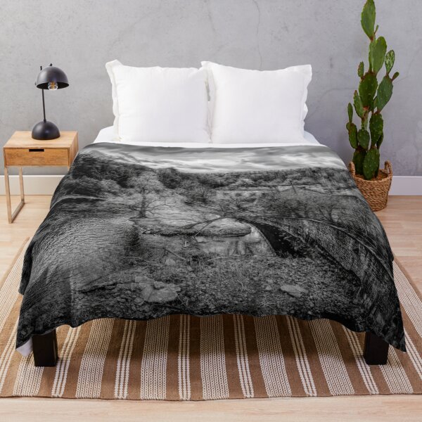 Item preview, Ruins of the Barber Paper Mill, Ontario 2 BW designed and sold by jrtwynam.