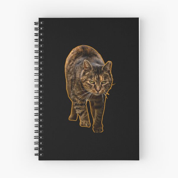 Item preview, A focused cat walking towards the viewer with an intent expression. designed and sold by Piotr Front.