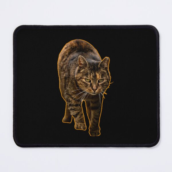 Item preview, A focused cat walking towards the viewer with an intent expression. designed and sold by Piotr Front.