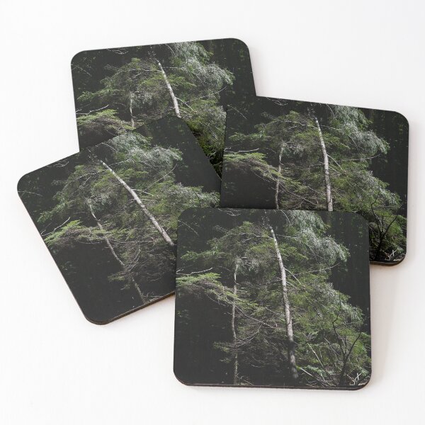 Item preview, dark woods abstract designed and sold by distracted.