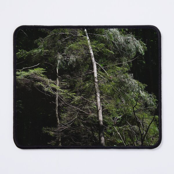 Item preview, dark woods abstract designed and sold by distracted.