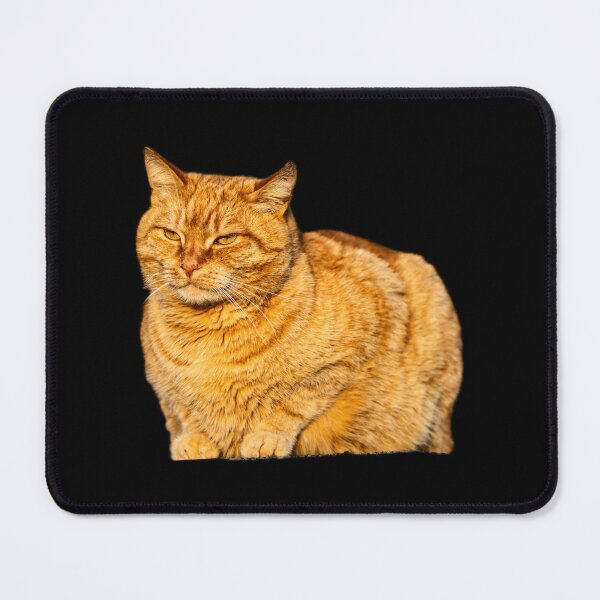 Item preview, A ginger cat with a calm expression designed and sold by Piotr Front.