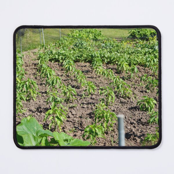 Item preview, pepper crop designed and sold by distracted.