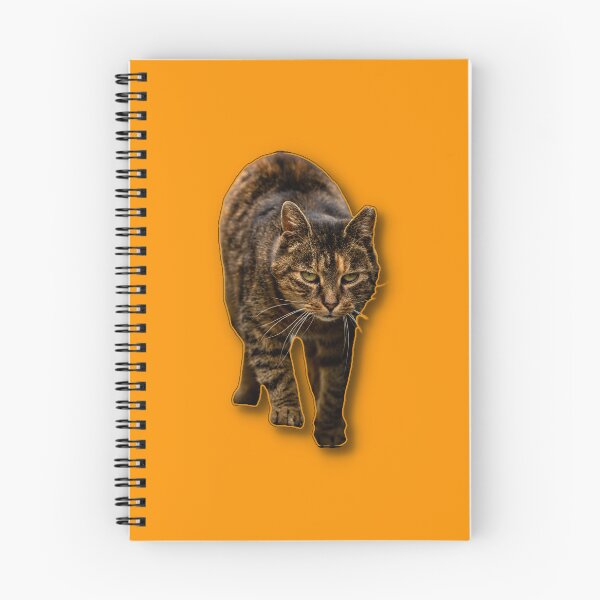Item preview, A focused cat walking towards the viewer with an intent expression. designed and sold by Piotr Front.