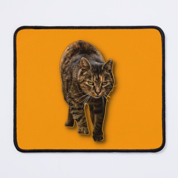 Item preview, A focused cat walking towards the viewer with an intent expression. designed and sold by Piotr Front.