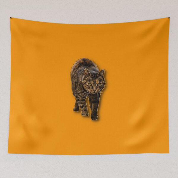 Item preview, A focused cat walking towards the viewer with an intent expression. designed and sold by Piotr Front.