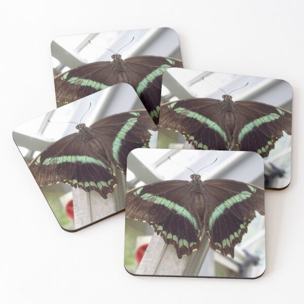 Item preview, Narrow Green-Banded Swallowtail Butterfly designed and sold by MartinPhotos.