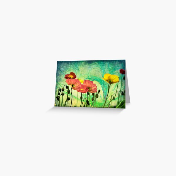 Poppy Greeting Card