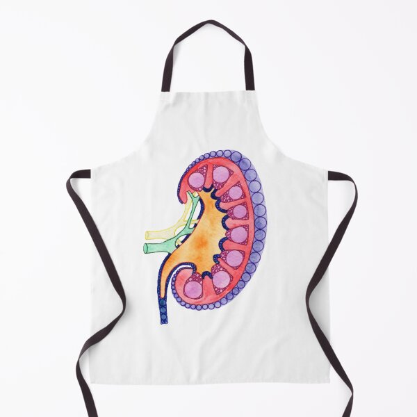 Item preview, Kidney, Watercolor and Ink designed and sold by ellisartstudio.