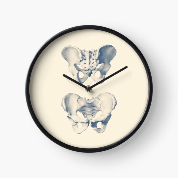 Item preview, Human Pelvis - Dual View designed and sold by VAposters.