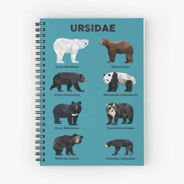 Item preview, Ursidae bear family designed and sold by marivin.