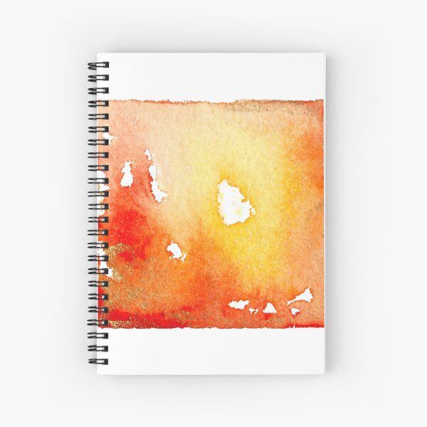 Day 100 of 365 Days Collection Spiral Notebook