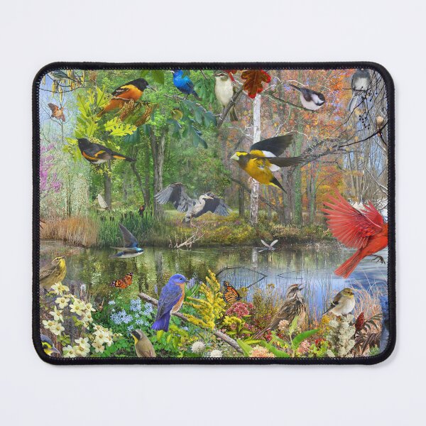 Item preview, bird seasons back east designed and sold by R Christopher Vest.
