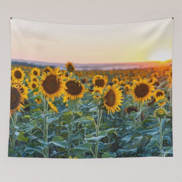 Item preview, Field of Sunflowers at Sunset designed and sold by Amy Mitchell.