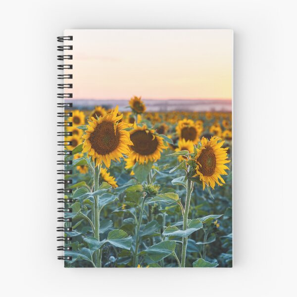 Item preview, Field of Sunflowers at Sunset designed and sold by Amy Mitchell.