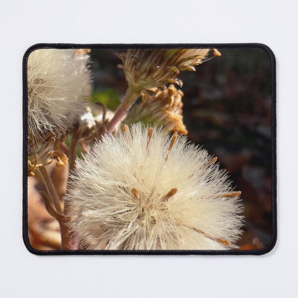 Item preview, False Yellowhead designed and sold by Betsy Phillips.
