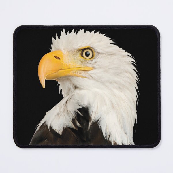Item preview, Eagle designed and sold by Sinfamous.