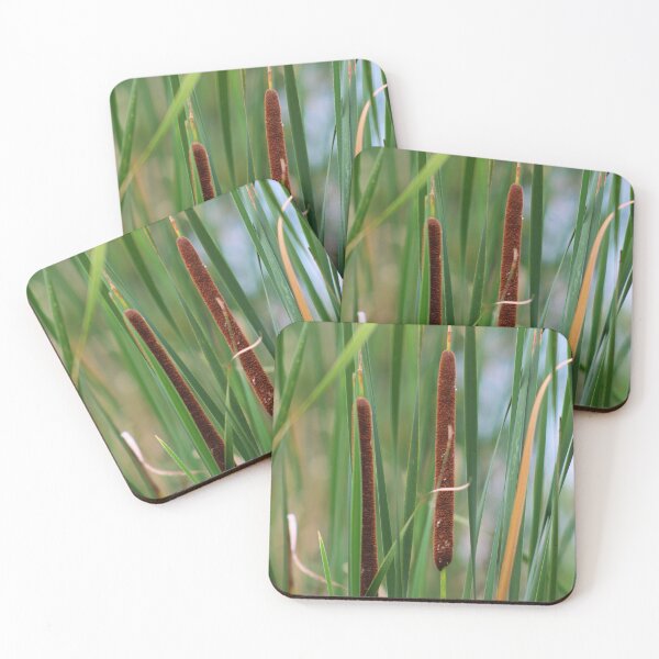 Item preview, Reeds in the water designed and sold by Fizlogo.
