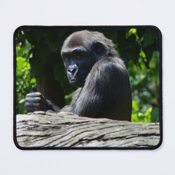 Item preview, All Good Here! Gorilla, hand in 'thumbs up' position  designed and sold by GinaMarie-PV.