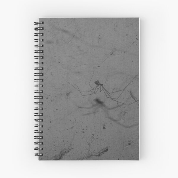 Item preview, B&W - Spider on its Web designed and sold by ROSE ANN BANILAR.