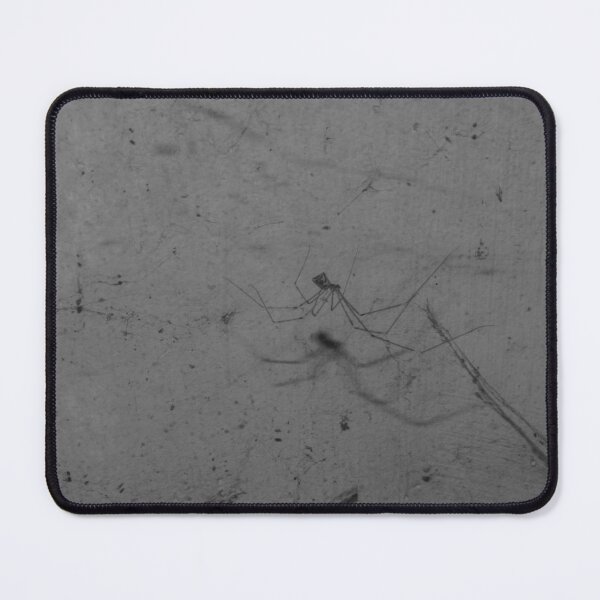 Item preview, B&W - Spider on its Web designed and sold by ROSE ANN BANILAR.