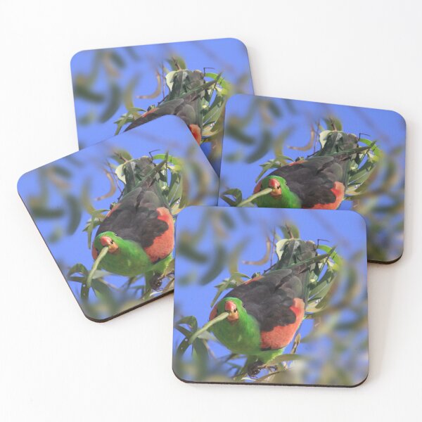 Item preview, Red Winged Parrot perched in a tree designed and sold by BirdsAlive.