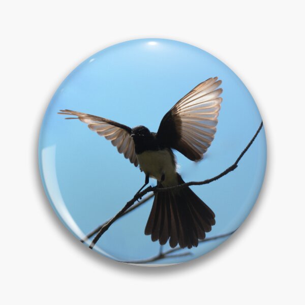 Item preview, Willie Wagtail perched on a branch designed and sold by BirdsAlive.