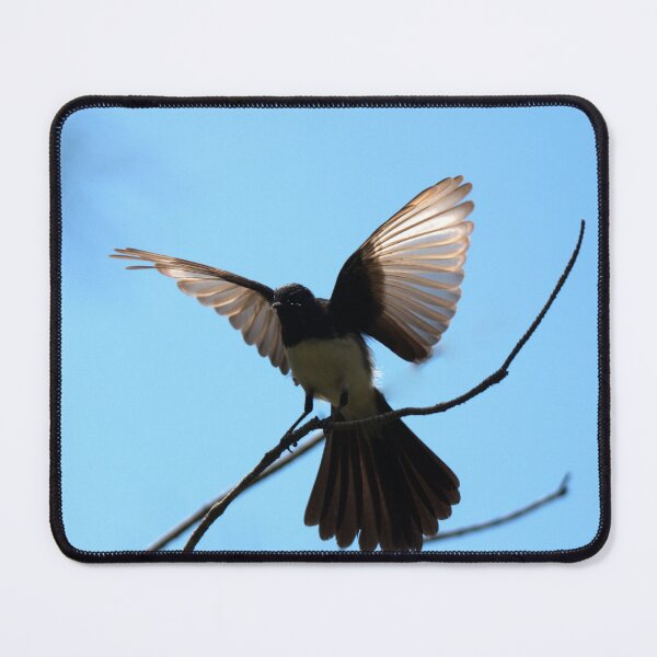Item preview, Willie Wagtail perched on a branch designed and sold by BirdsAlive.