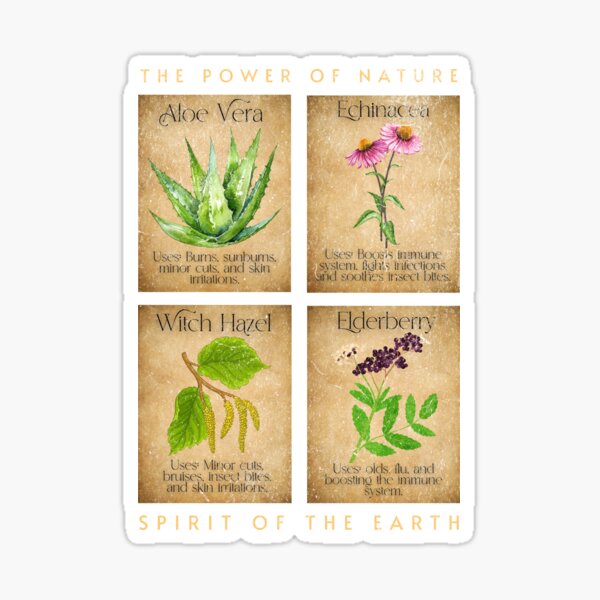 Item preview, The Power of Nature - Medicinal Plant Design with Aloe Vera, Echinacea, Witch Hazel, and Elderberry designed and sold by CWT-JustforFun.