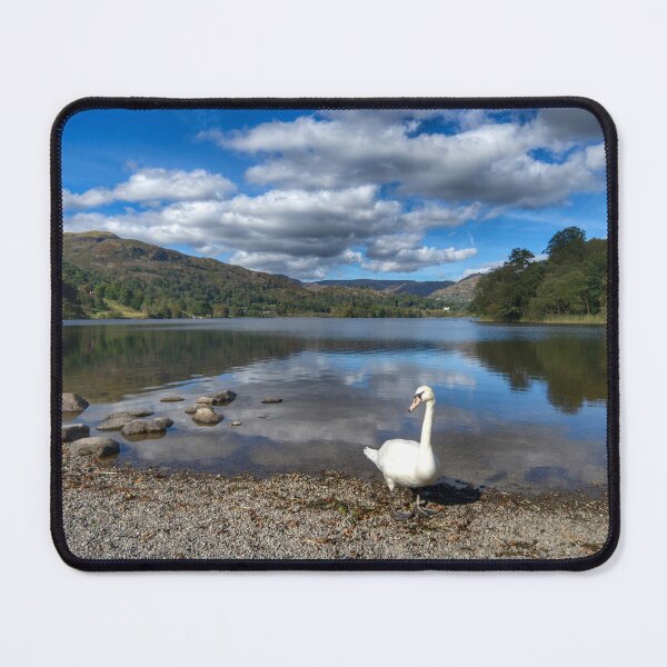 Item preview, Grasmere Swan Landscape designed and sold by Alisonchambers2.
