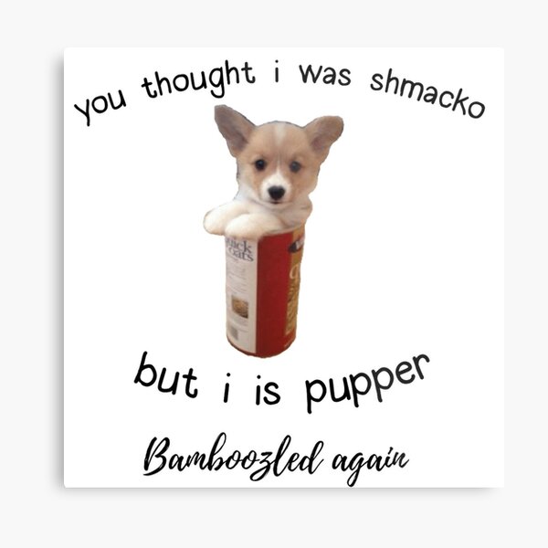 Memez Wall Art Redbubble - did the support just bamboozle me roblox