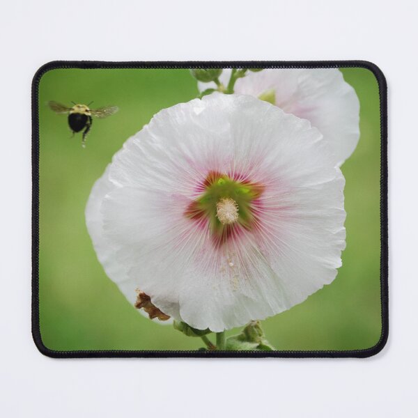 Item preview, buzz designed and sold by NinaS.