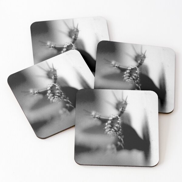 Item preview, Cactus Spines Black And White  designed and sold by MercerImages.