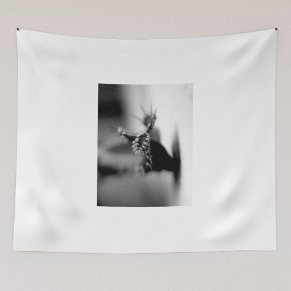 Item preview, Cactus Spines Black And White  designed and sold by MercerImages.