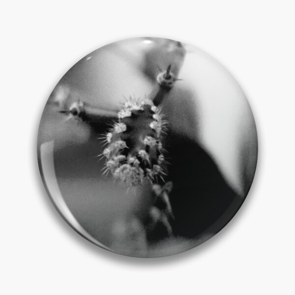 Item preview, Cactus Spines Black And White  designed and sold by MercerImages.