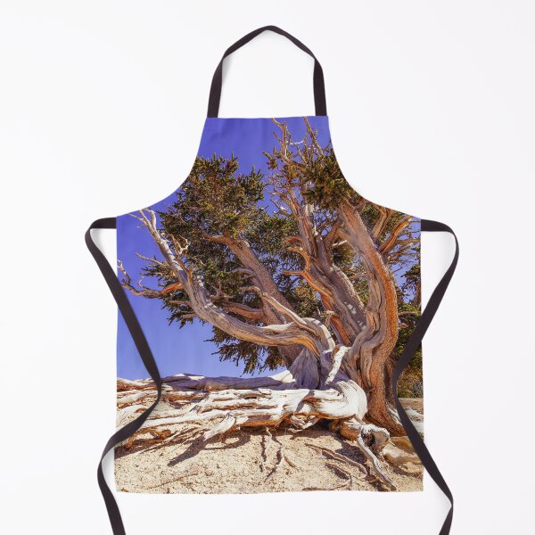 Item preview, Majestic Bristlecone Pine designed and sold by Julie Navitka.