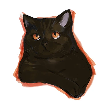 Artwork thumbnail, Grumpy black cat by RNIArt