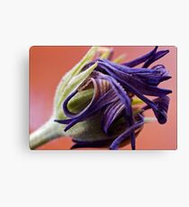 Deterioration Canvas Print