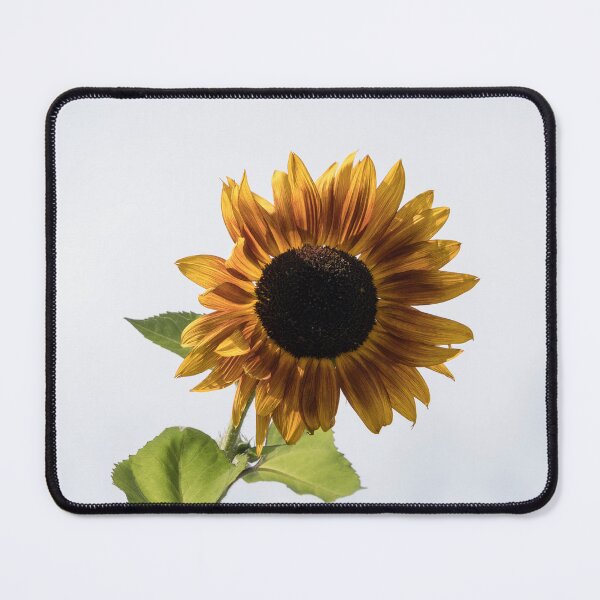 Item preview, Singular Vivid Sunflower Against Milky Sky designed and sold by Georgia Mizuleva.