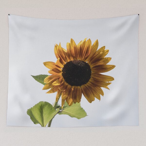 Item preview, Singular Vivid Sunflower Against Milky Sky designed and sold by Georgia Mizuleva.