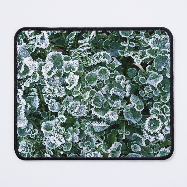Item preview, Frosty land cress designed and sold by paulboizot.