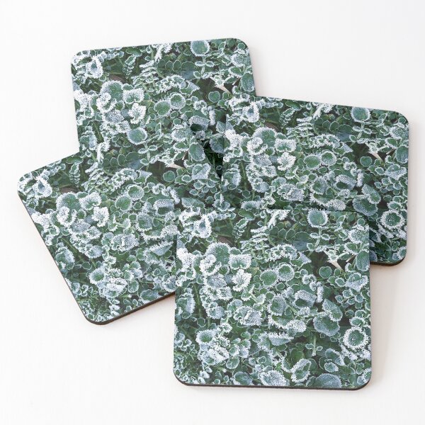 Item preview, Frosty land cress designed and sold by paulboizot.