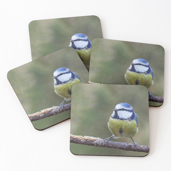 Item preview, The Brave one. Eurasian blue tit designed and sold by Jouko Lehto Photography.